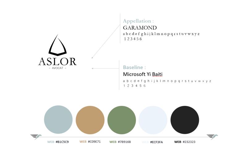 Charte Graphique Aslor Avocat by Baptistedream