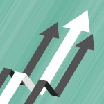 Loup Blanc - Audit impact GES