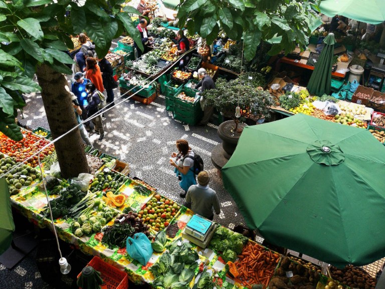 Marché - loup blanc alès article 2023