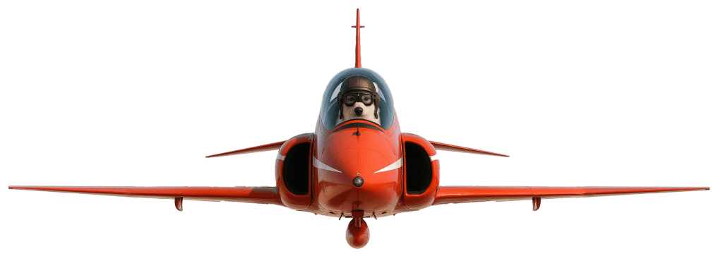 Loup Blanc Alès décollage pilote