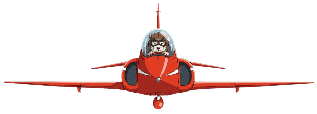 Agence Loup Blanc à Alès - loup qui pilote l'avion